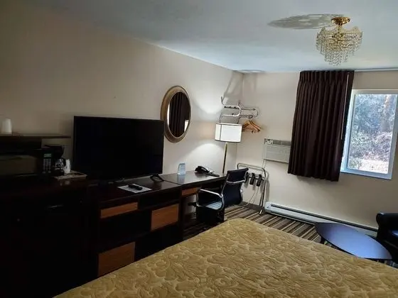 Oda, 1 En Büyük (King) Boy Yatak, Buzdolabı