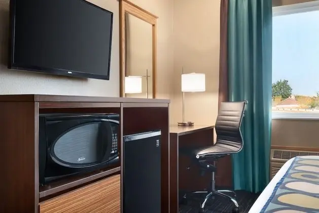 Oda, 1 Büyük (Queen) Boy Yatak, Engellilere Uygun, Sigara İçilmez (Mobility Accessible)