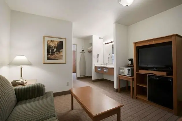Süit, 1 Büyük (Queen) Boy Yatak, Sigara İçilmez, Küçük Mutfak (One-Bedroom)