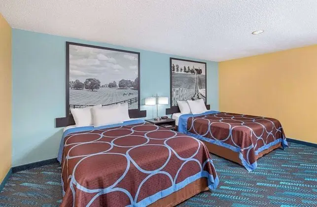 Stüdyo Süit, 2 Büyük (Queen) Boy Yatak, Sigara İçilebilir