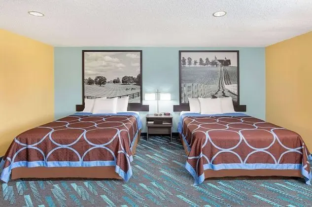 Stüdyo Süit, 2 Büyük (Queen) Boy Yatak, Sigara İçilebilir