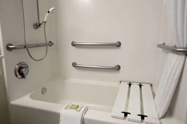 Oda, 2 Büyük (Queen) Boy Yatak, Engellilere Uygun, Sigara İçilmez (Mobility,Hearing,Tub w/Grab Bars)