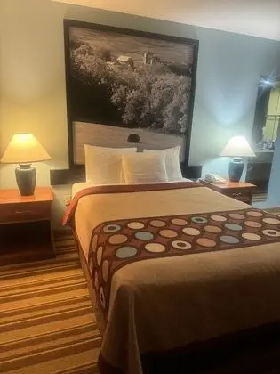 Oda, 1 Büyük (Queen) Boy Yatak, Engellilere Uygun, Sigara İçilmez (Mobility Accessible)