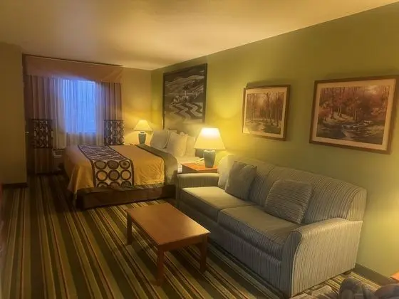 Oda, 1 En Büyük (King) Boy Yatak, Sigara İçilmez (Pet Friendly)
