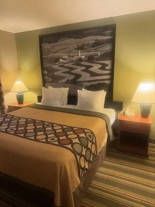 Oda, 1 En Büyük (King) Boy Yatak, Sigara İçilmez (Pet Friendly)