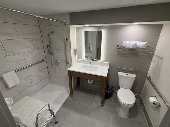 Engellilere uygun banyo