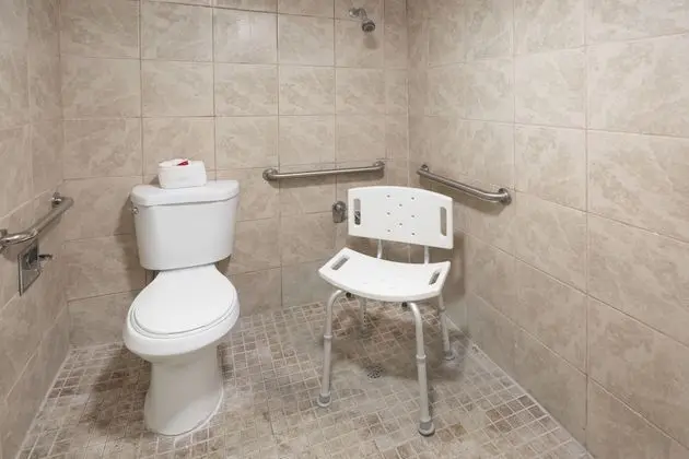 Deluxe Oda, 1 En Büyük (King) Boy Yatak, Engellilere Uygun, Sigara İçilmez (Tub with Grab Bars)