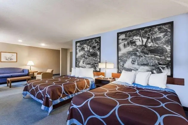 Oda, 2 Çift Kişilik Yatak, Sigara İçilmez (Pet Friendly)