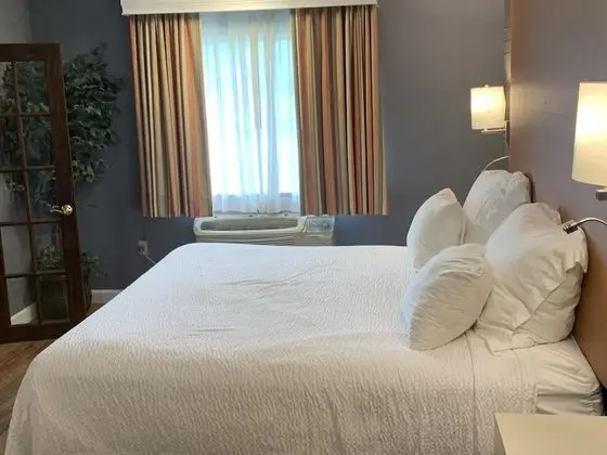 Deluxe Stüdyo Süit, 1 En Büyük (King) Boy Yatak, Sigara İçilmez, Göl Manzaralı