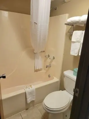 Standard Oda, 1 En Büyük (King) Boy Yatak, Sigara İçilebilir