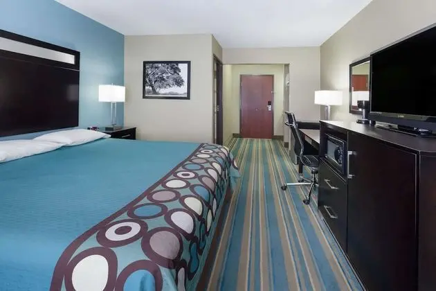 Stüdyo Süit, 1 En Büyük (King) Boy Yatak, Sigara İçilmez