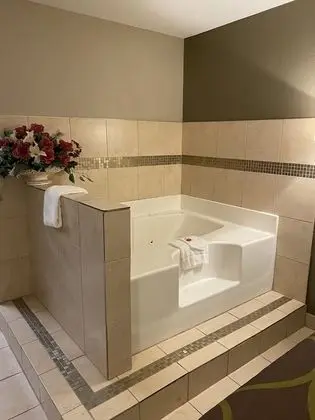Stüdyo Süit, 1 En Büyük (King) Boy Yatak, Sigara İçilmez