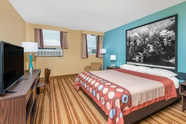 Oda, 1 En Büyük (King) Boy Yatak, Sigara İçilmez (Pet Friendly)