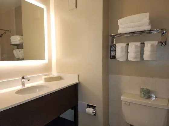 Oda, 1 En Büyük (King) Boy Yatak, Sigara İçilmez (Pet Friendly)