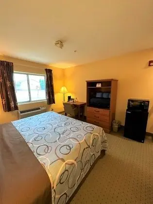 Standard Oda, 1 En Büyük (King) Boy Yatak, Engellilere Uygun