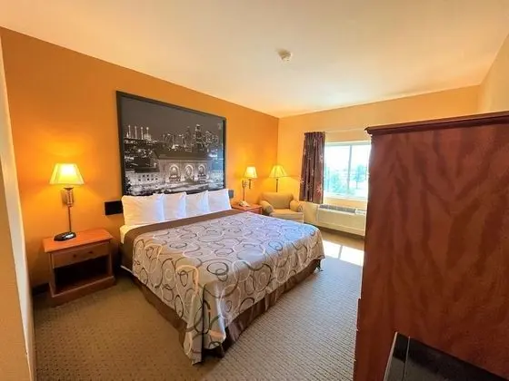 Standard Oda, 1 En Büyük (King) Boy Yatak, Sigara İçilmez