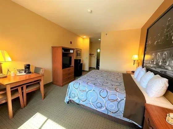 Standard Oda, 1 En Büyük (King) Boy Yatak, Sigara İçilmez