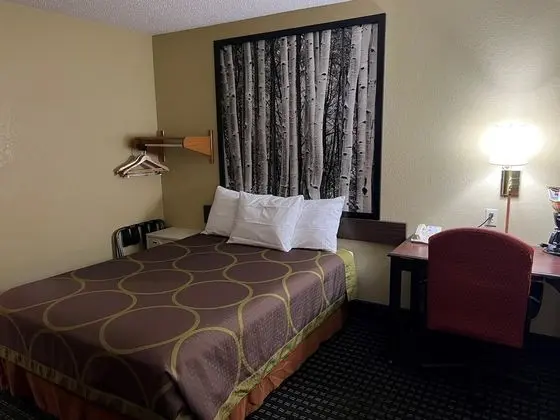 Standard Oda, 1 Büyük (Queen) Boy Yatak, Engellilere Uygun