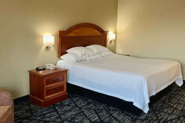 Deluxe Oda, 1 En Büyük (King) Boy Yatak, Sigara İçilmez