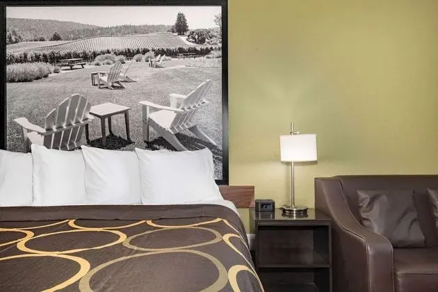 Oda, 1 En Büyük (King) Boy Yatak, Engellilere Uygun, Sigara İçilmez (Mobility/Hearing Impaired)