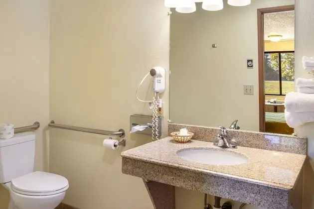 Oda, 1 Büyük (Queen) Boy Yatak, Engellilere Uygun, Sigara İçilmez (Tub with Grab Bars)