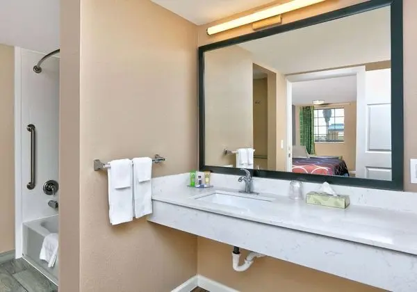 Oda, 1 En Büyük (King) Boy Yatak, Engellilere Uygun, Sigara İçilmez (Bathtub w/ Grab Bars)