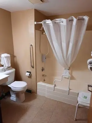Oda, 1 En Büyük (King) Boy Yatak, Engellilere Uygun, Sigara İçilmez (Mobility, Bathtub w/ Grab Bars)