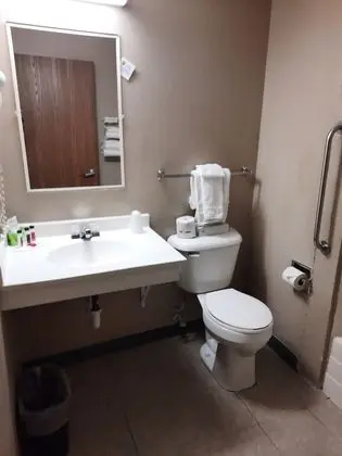 Oda, 1 En Büyük (King) Boy Yatak, Engellilere Uygun, Sigara İçilmez (Mobility, Bathtub w/ Grab Bars)