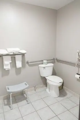 Oda, 1 Büyük (Queen) Boy Yatak, Engellilere Uygun, Sigara İçilmez (Tub with Grab Bars)