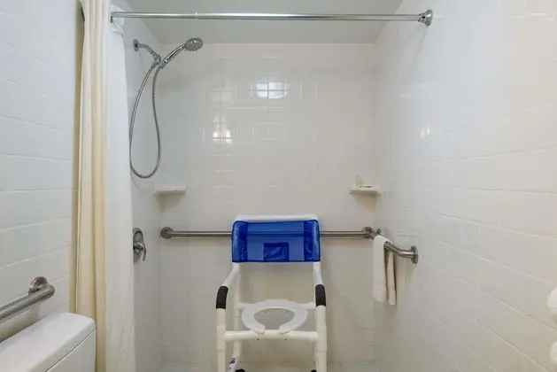 Deluxe Oda, 1 Büyük (Queen) Boy Yatak, Engellilere Uygun, Sigara İçilmez (Mobility Accessible)