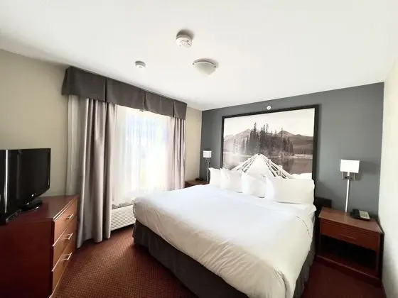 Süit, 1 Yatak Odası, Sigara İçilmez (1 King Bed)
