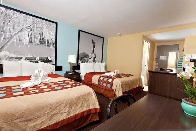 Oda, 2 Büyük (Queen) Boy Yatak, Sigara İçilmez (Pet-Friendly)