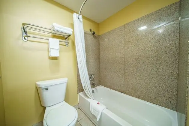 Oda, 2 Büyük (Queen) Boy Yatak, Sigara İçilmez (Pet-Friendly)
