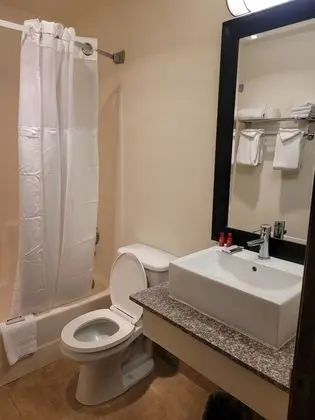 Süit, Birden Çok Yatak, Sigara İçilmez, Buzdolabı ve Mikrodalga