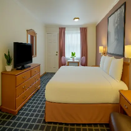 JUNIOR SUITE