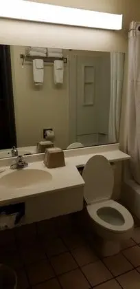 Deluxe Stüdyo Süit, 1 En Büyük (King) Boy Yatak, Sigara İçilmez