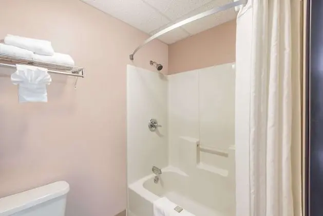 Deluxe Stüdyo, 1 En Büyük (King) Boy Yatak, Sigara İçilmez