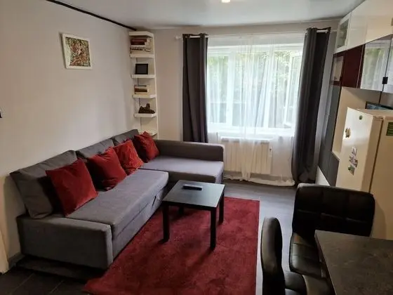 Apart Daire, 1 Büyük (Queen) Boy Yatak ve Çekyat