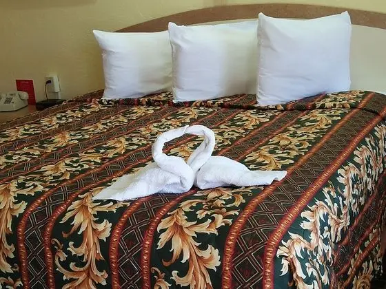 Premium Oda, 2 Çift Kişilik Yatak