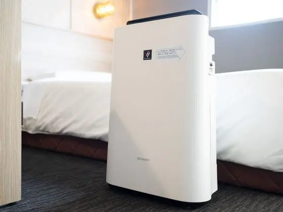 Tek Kişilik Oda, Sigara İçilmez (with Small Double Bed)