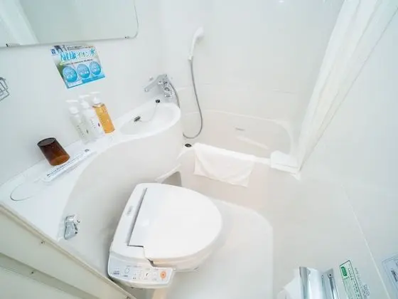 Standard Tek Büyük Yataklı Oda, Sigara İçilebilir