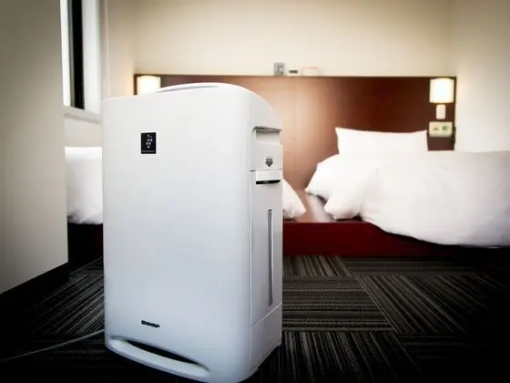 Tek Büyük Yataklı Oda, Sigara İçilmez (with Bunk Bed, Breakfast included)