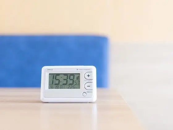 Tek Büyük Yataklı Oda, 1 Çift Kişilik Yatak, Sigara İçilmez (Extra)