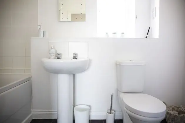 Apart Daire, Özel Banyo, Park Manzaralı (Modern)