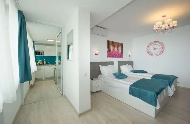 Apart Daire, 1 Yatak Odası, Mikrodalga