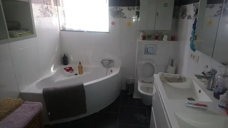 Ev, 5 Yatak Odası, Sıcak Su Havuzu