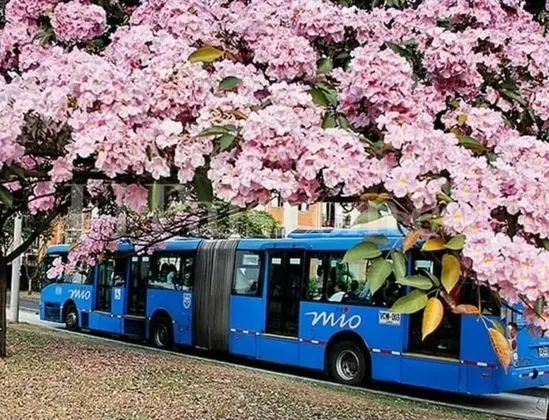 Daire, 2 Yatak Odası, Balkon