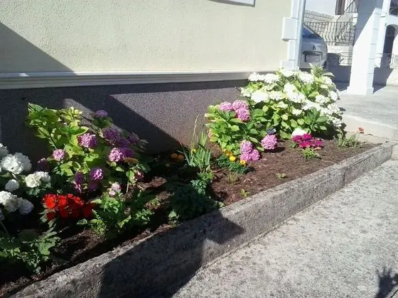 Apart Daire, 1 Yatak Odası, Teras