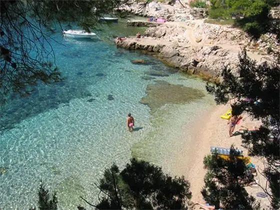 Apart Daire, 1 Yatak Odası, Teras