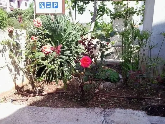 Apart Daire, 1 Yatak Odası, Teras